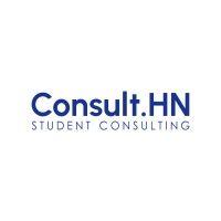 consult.hn logo image