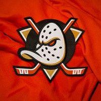 anaheim ducks logo image