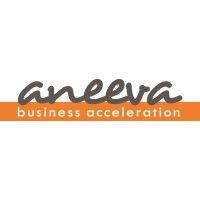 aneeva ltd. business acceleration in europe logo image