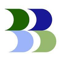 bellevue asset management logo image