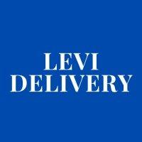 levi delivery logo image