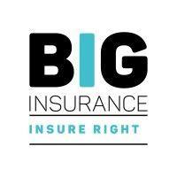 big insurance broker pvt ltd