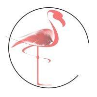 flamingo marketing strategies ltd logo image