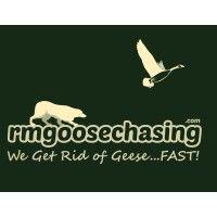 rescue me goose chasing logo image