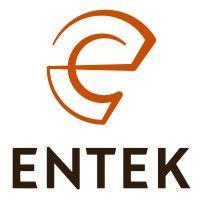 entek international logo image