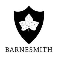 barnesmith (formerly ivysport) logo image