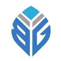 blue group capital logo image