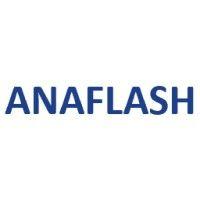 anaflash inc logo image