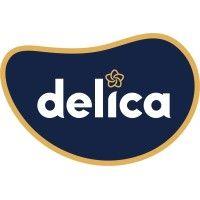 delica north america logo image