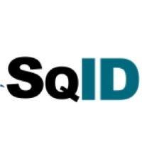 sqid payment technologies logo image