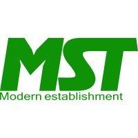 mst egypt logo image