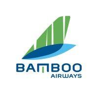 bamboo airways logo image