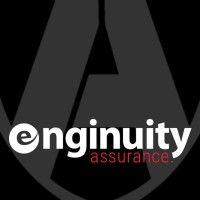 enginuity-llc logo image