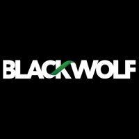 black wolf & co.