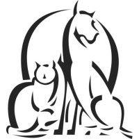 austin veterinary diagnostic hospital logo image