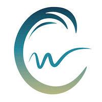 cresting wave logo image