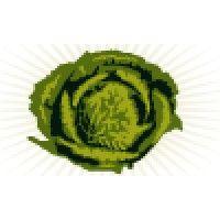 more cabbage logo image