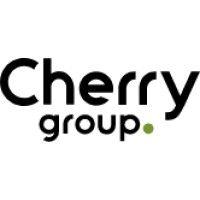 cherry group b.v. logo image