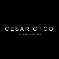 cesario & co logo image