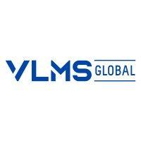 vlms global consulting inc logo image