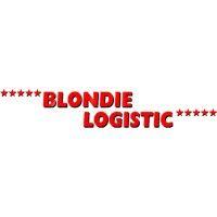 blondie logistic ab logo image