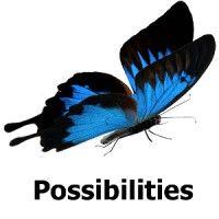 possibilities consulting, llc. logo image