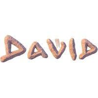 the david movie