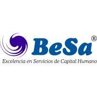 besa consulting logo image