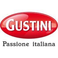 gustini gmbh logo image