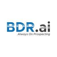 bdr.ai logo image