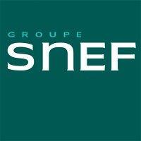 snef logo image