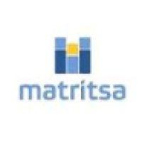 matritsa llc logo image