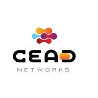 cead networks logo image