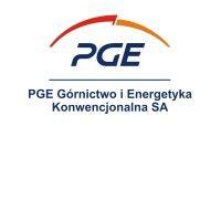 pge górnictwo i energetyka konwencjonalna s.a. logo image