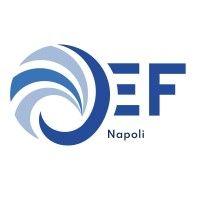 jef napoli logo image