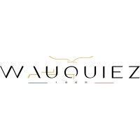 wauquiez boats logo image