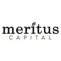 meritus capital - payroll funding for staffing agencies logo image