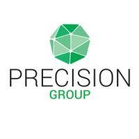 precision infomatic (m) private limited logo image