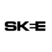 skee logo image