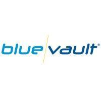 bluevault llc logo image