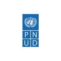 pnud chile logo image