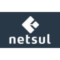 netsul logo image