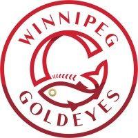 winnipeg goldeyes baseball club logo image