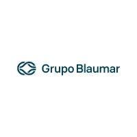 grupo blaumar logo image