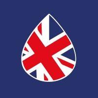 bizbritain logo image