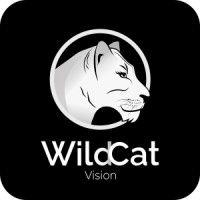 wild cat vision - digital marketing training