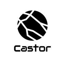 castor logo image