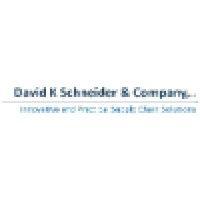 david k. schneider & company, llc logo image