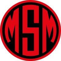 msm logo image