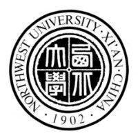 northwest university logo image